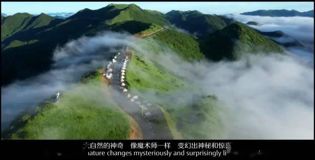 尽在征信我问题对生活有什么影响,非黑户。,探秘58问答交流平台